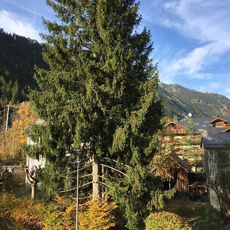 Aster Apartment Chamonix Bagian luar foto