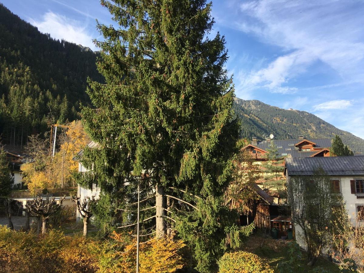 Aster Apartment Chamonix Bagian luar foto
